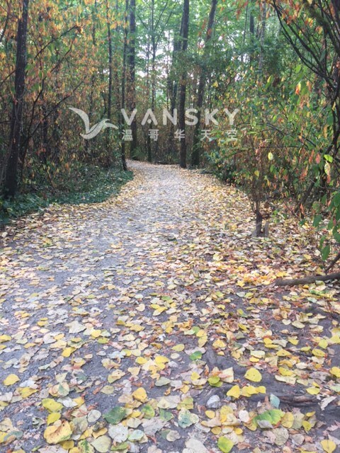 260129221011_170811191552_park trail.jpg